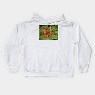 Wildflowers of Montana- Indian Paintbrush Kids Hoodie